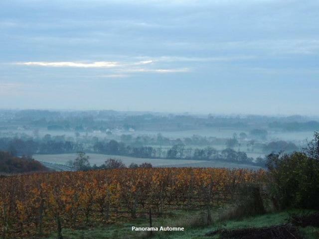 Gite Layon 6 Places Moulin De La Placette Faye-d'Anjou 外观 照片